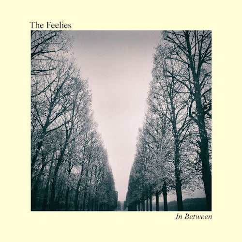 Feelies - In between (LP)
