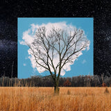Fink - Bloom innocent (CD)