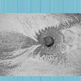 Four Tet - New energy (LP)