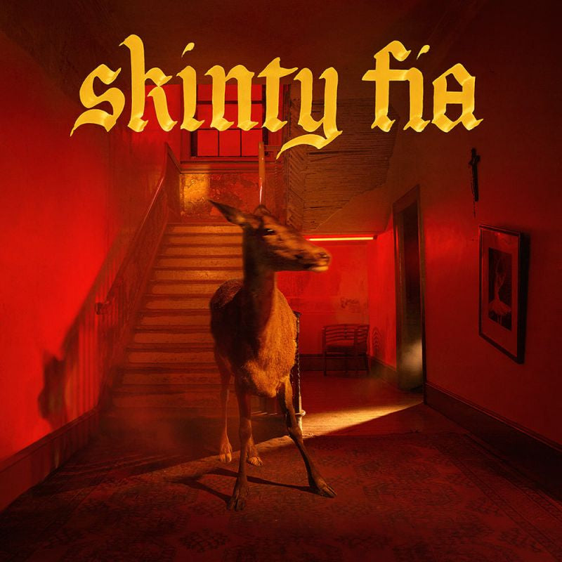 Fontaines DC - Skinty fia (LP)
