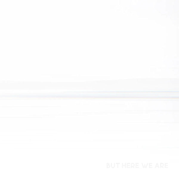 Foo Fighters - But here we are (LP) - Velvet Music
