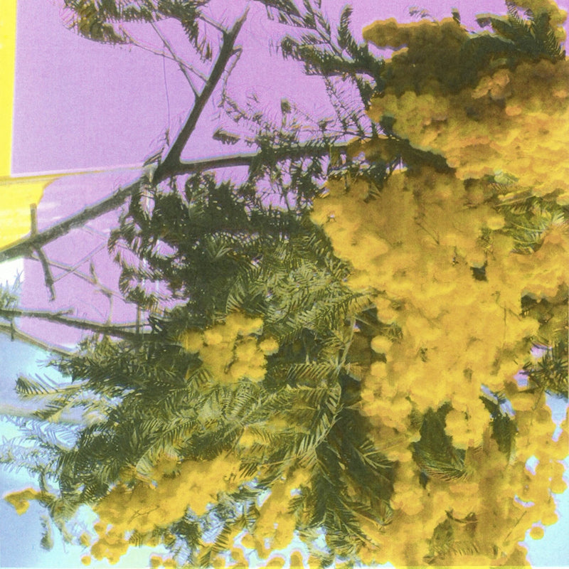Four Tet - Into dust (12-inch maxi-single)