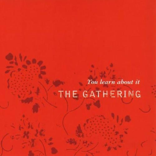 Gathering - You learn about it (CD single)