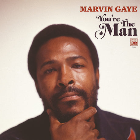 Marvin Gaye - You're the man (LP) - Velvet Music