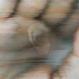 Global Communication - Chapterhouse retranslated by global communication - blood music: pentamerous metamorphosis (LP)