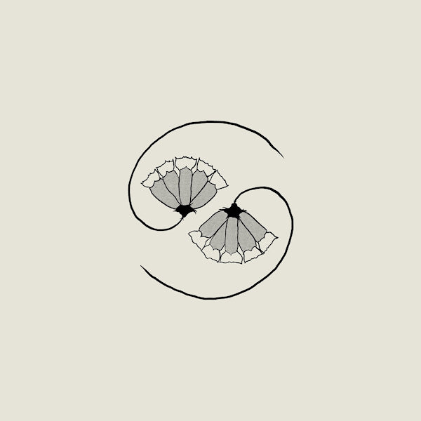 Godspeed You Black Emperor - G_d's pee at state's end! (LP) - Velvet Music