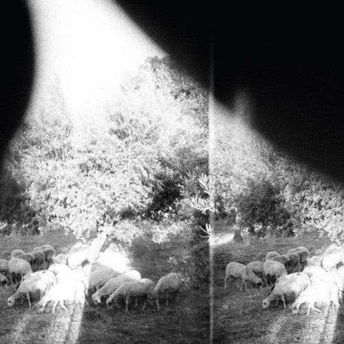Godspeed You Black Emperor - Asunder, sweet & other distress (LP)
