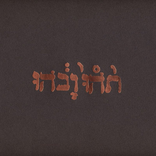 Godspeed You! Black Emperor - Slow riot for new zero kanada (CD)