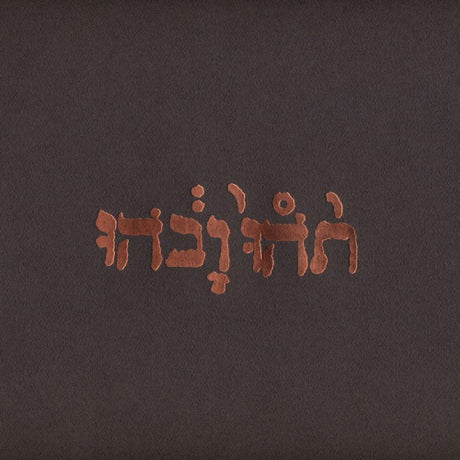 Godspeed You! Black Emperor - Slow riot for new zero kanada (CD)