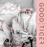 Good Tiger - We will all be gone (CD)