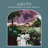 Gosto - What do you mean 'you need a colour tv' (CD)