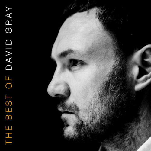 David Gray - Best of david gray (LP)