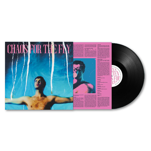 Grian Chatten - Chaos for the fly (LP)