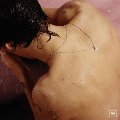 Harry Styles - Harry styles (LP) - Velvet Music