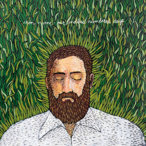 Iron & Wine - Our endless numbered days (LP) - Velvet Music