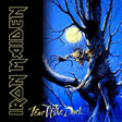 Iron Maiden - Fear of the dark (LP) - Velvet Music