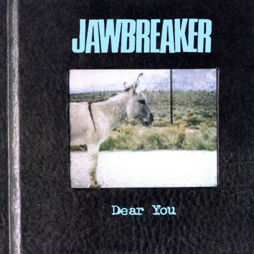Jawbreaker - Dear you (LP)