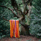 James Holden & The Animal Spirits - The animal spirits (LP)
