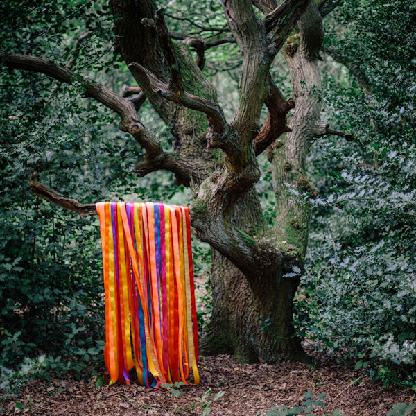 James Holden &amp; The Animal Spirits - The animal spirits (CD)