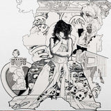 Jesca Hoop - The deconstruction of jack's house (LP)