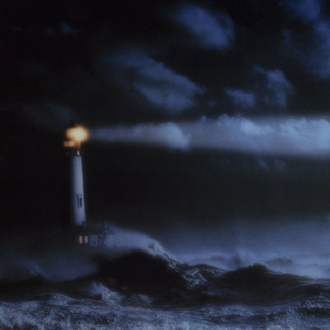 John Maus - We must become the pitiless censors of ourselves (LP)