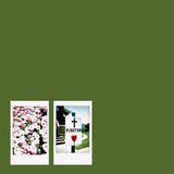 John Moreland - Visitor (LP)