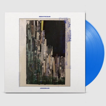 John Moreland - Birds in the ceiling (LP)