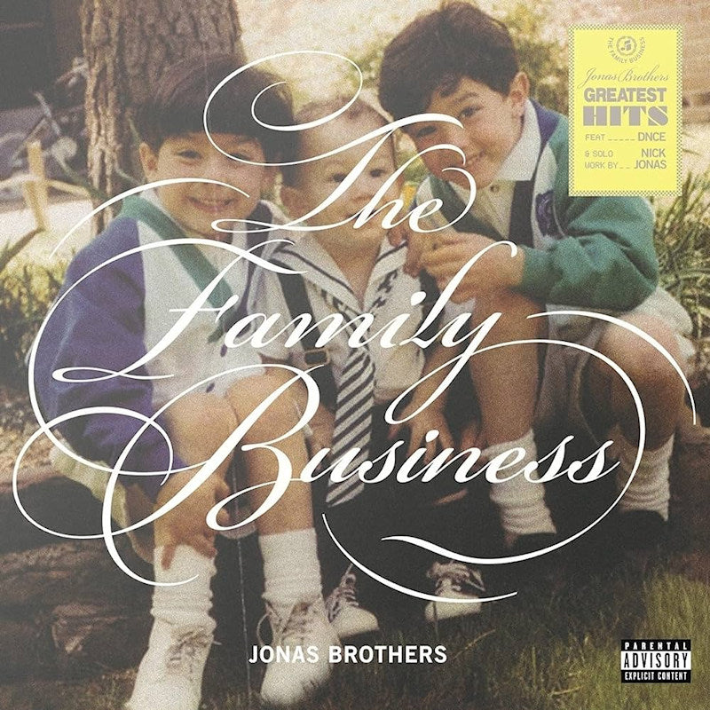 Jonas Brothers - The family business (LP)