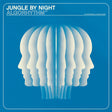 Jungle By Night - Algorhythm (LP) - Velvet Music