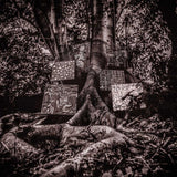 Kamasi Washington - Harmony of difference (LP)