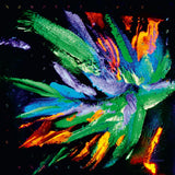 Kolsch - Now here no where (CD)