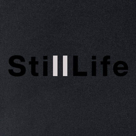 Anders Koppel - Still life (CD)