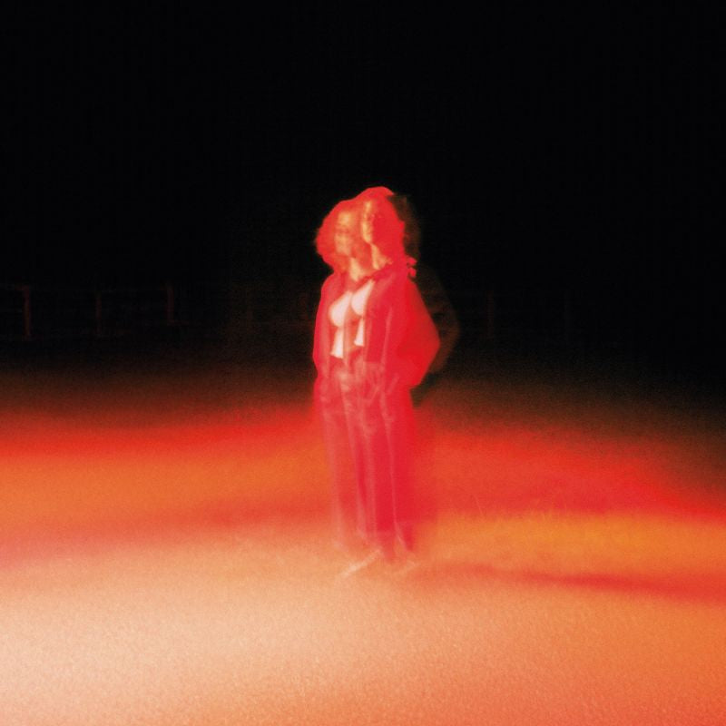 Katherine Priddy - These frightening machines (LP)