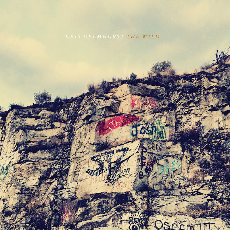 Kris Delmhorst - The wild (CD)