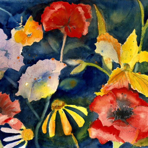 Adrianne Lenker - Songs and instrumentals (CD) – Velvet Music