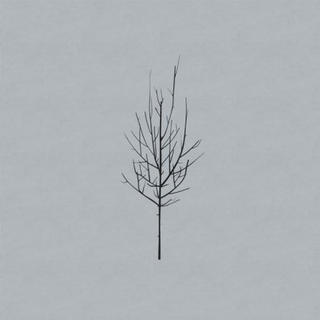 Low - Ones and sixes (LP) - Velvet Music