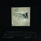 Lambchop - Bible (LP)