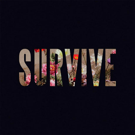 Lewis Capaldi - Survive ep (12-inch maxi-single)