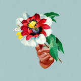 Maribou State - Kingdoms in colour (CD)