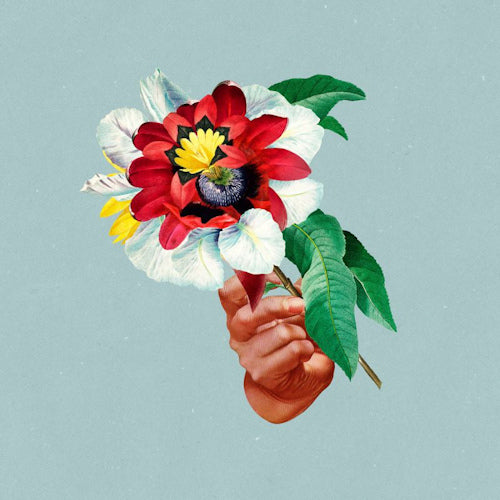 Maribou State - Kingdoms in colour (CD)