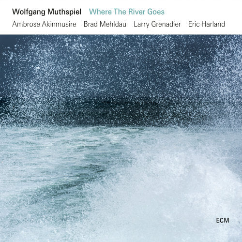 Wolfgang Muthspiel - Where the river goes (LP)