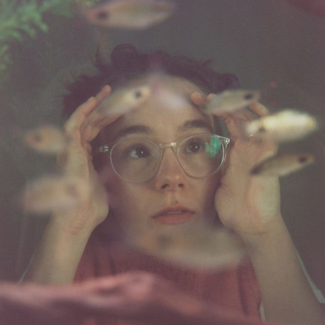 Morgan Harper-Jones - Up to the glass (LP) - Velvet Music