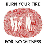 Angel Olsen - Burn your fire for no witness (CD)