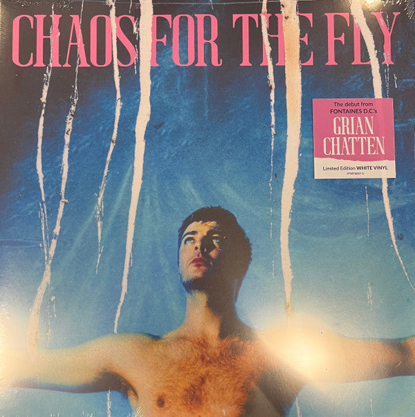 Grian Chatten - Chaos for the fly (LP) - Velvet Music