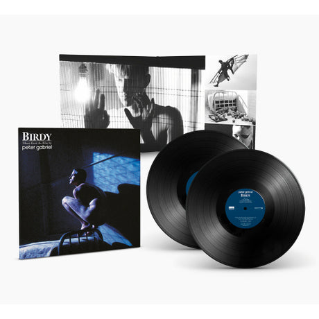 Peter Gabriel - Birdy (LP)