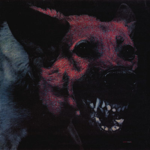 Protomartyr - Under color of official right (LP)