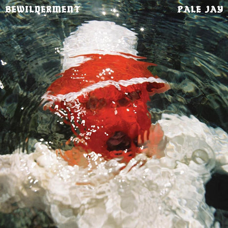 Pale Jay - Bewilderment (LP) - Velvet Music