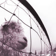 Pearl Jam - Vs. (30th anniversary edition) (LP) - Velvet Music