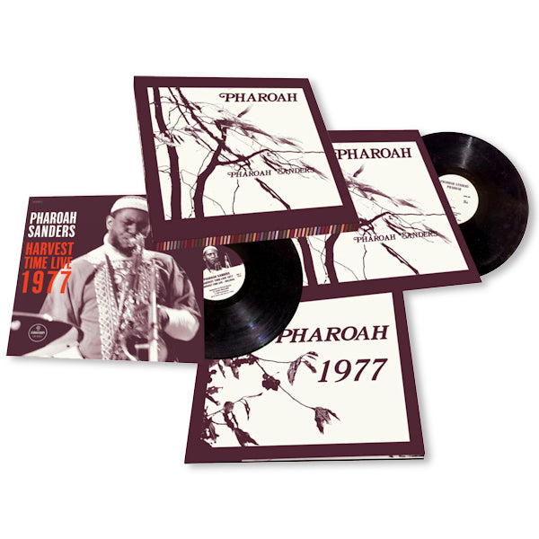 Pharoah Sanders - Pharoah -deluxe- (LP) - Velvet Music
