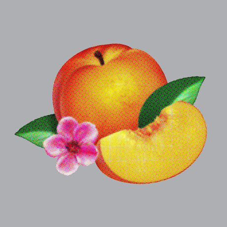 Phoenix - Bankrupt! (CD)